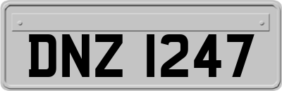 DNZ1247