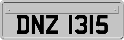 DNZ1315