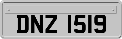 DNZ1519