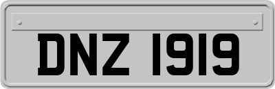 DNZ1919