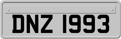 DNZ1993
