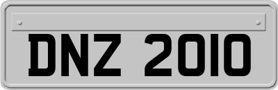 DNZ2010