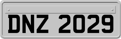 DNZ2029