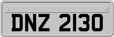 DNZ2130