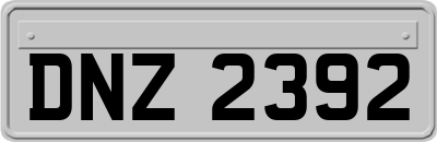 DNZ2392