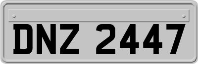 DNZ2447