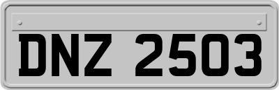 DNZ2503