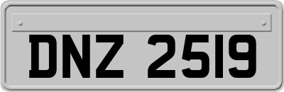 DNZ2519