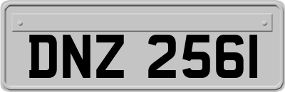 DNZ2561