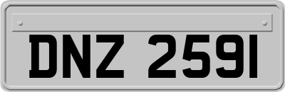 DNZ2591