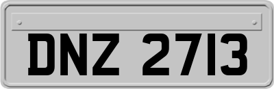 DNZ2713