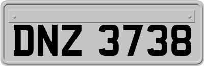 DNZ3738