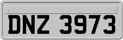 DNZ3973
