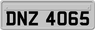 DNZ4065