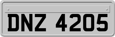 DNZ4205