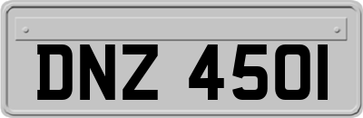 DNZ4501