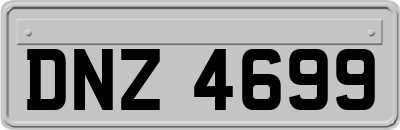 DNZ4699