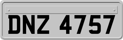 DNZ4757