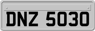 DNZ5030
