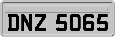 DNZ5065