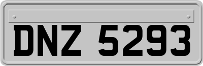 DNZ5293