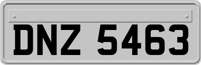 DNZ5463