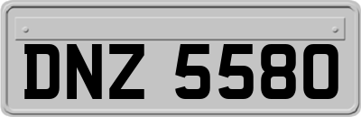 DNZ5580