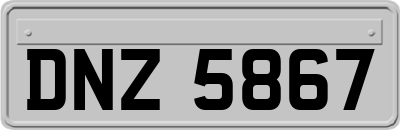 DNZ5867