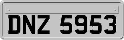 DNZ5953
