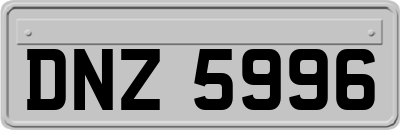 DNZ5996