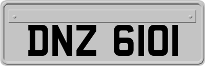 DNZ6101