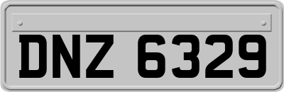 DNZ6329