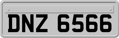 DNZ6566
