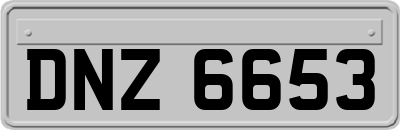 DNZ6653