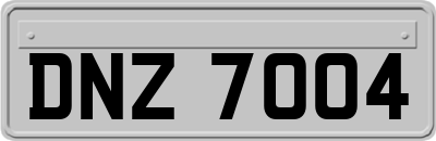 DNZ7004