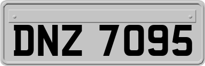 DNZ7095