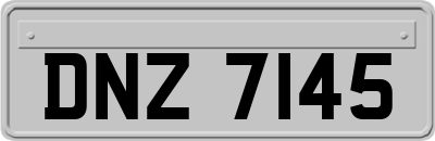 DNZ7145