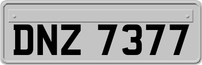 DNZ7377