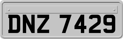 DNZ7429