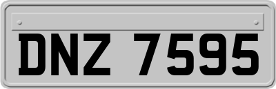 DNZ7595