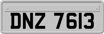 DNZ7613