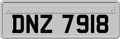 DNZ7918