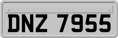 DNZ7955