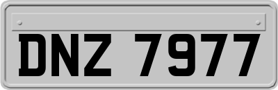 DNZ7977