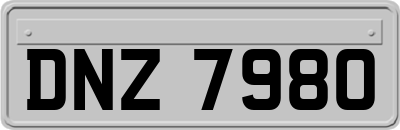 DNZ7980