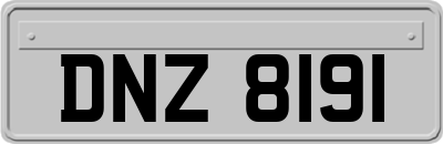 DNZ8191