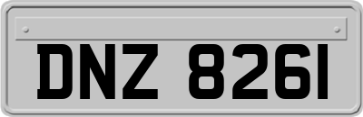 DNZ8261