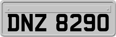 DNZ8290