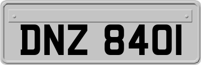 DNZ8401