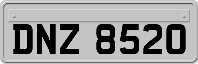 DNZ8520